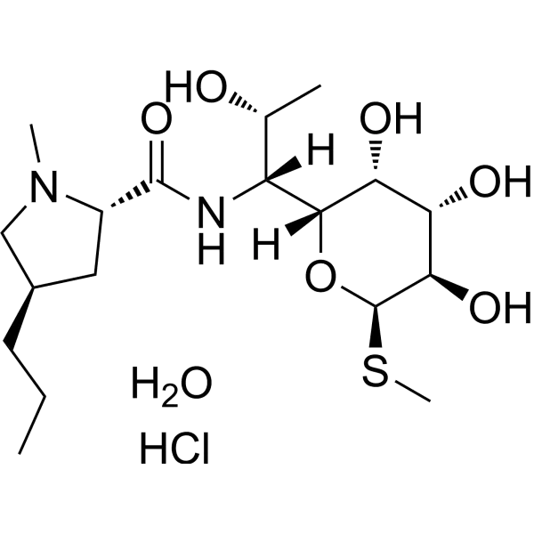 Lincomycin Hydrochloride