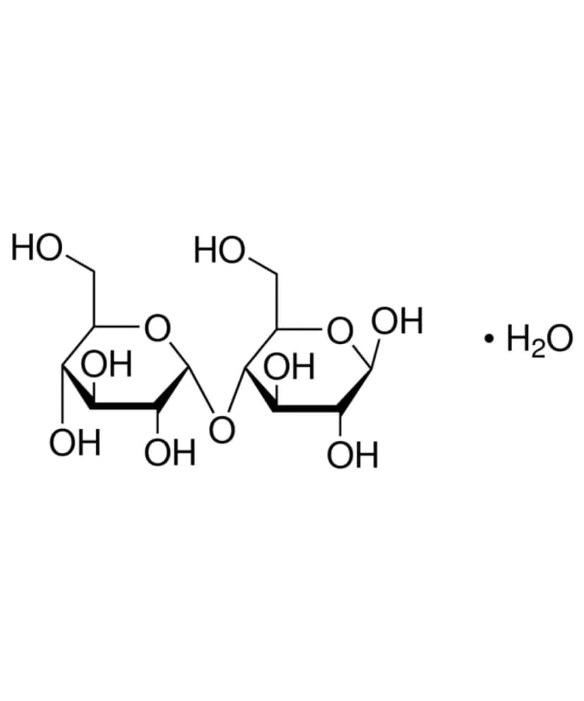 Maltose powder