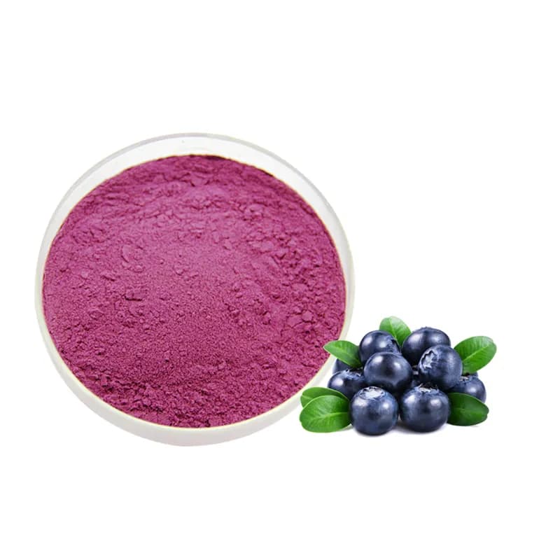 Blueberry Extract 1% Anthocyanins