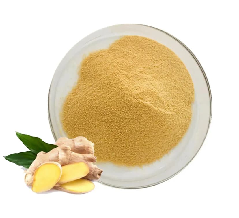 Ginger Extract Gingerols 5%